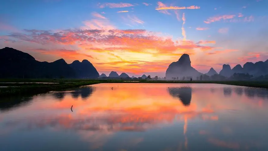全自动高端
